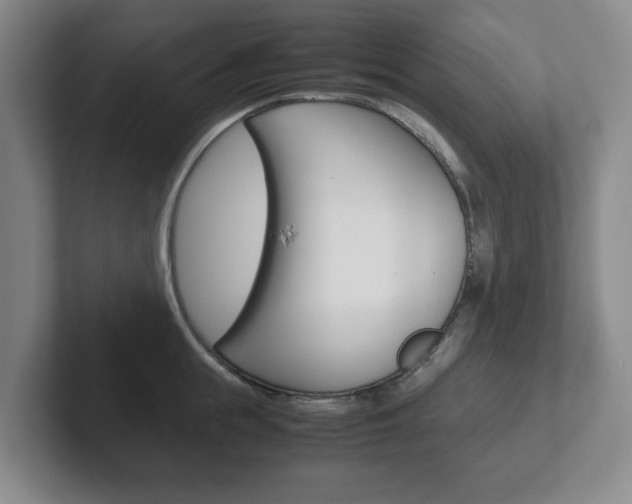 X0000102270855200807250856