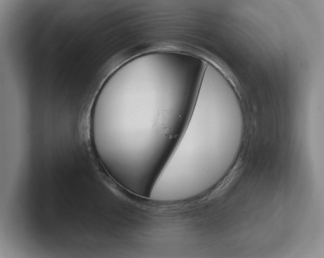 X0000102270858200807250856