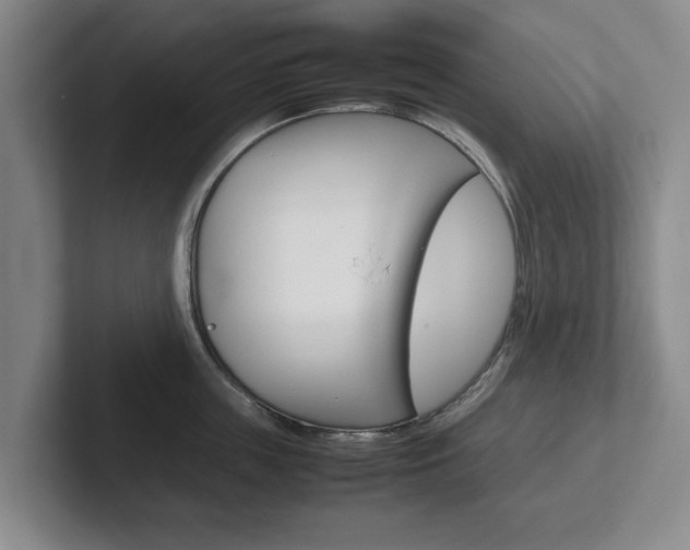 X0000102270859200807250856