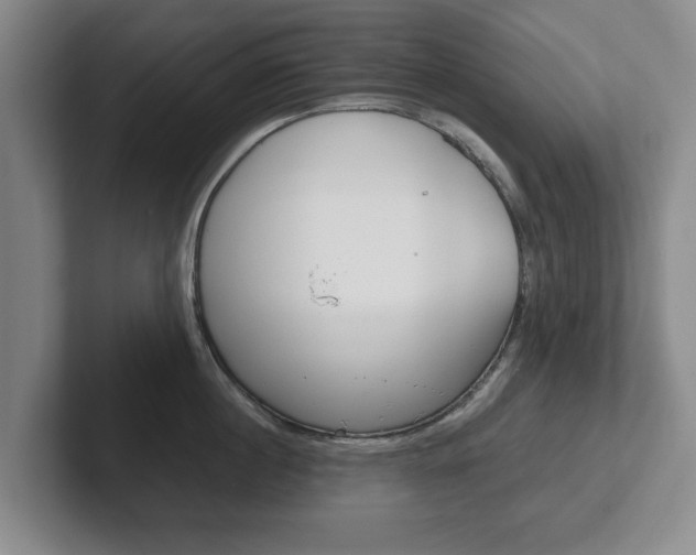 X0000102270860200807250856
