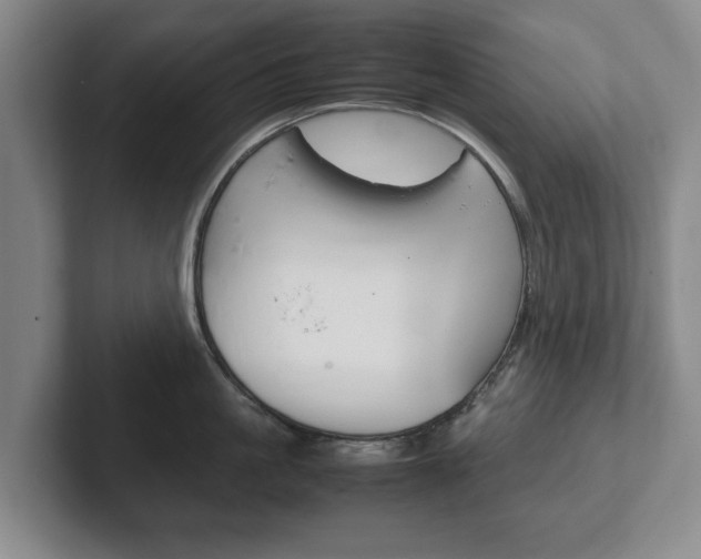 X0000102270861200807250856