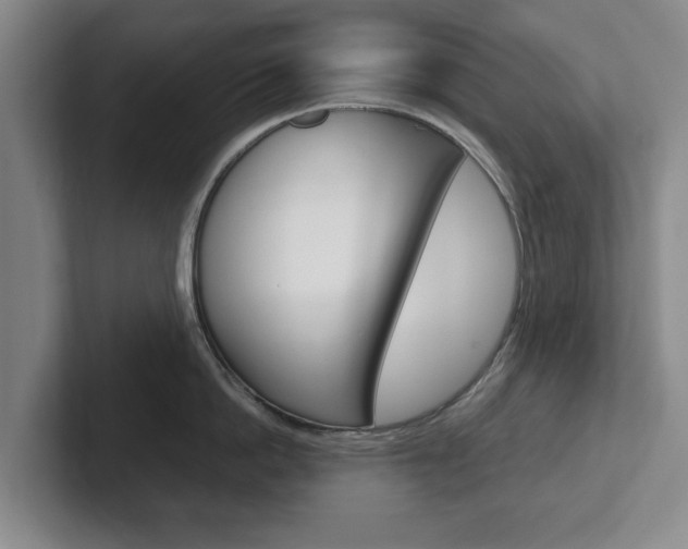 X0000102270862200807250856