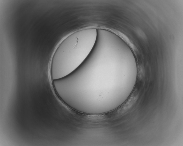 X0000102270863200807250856