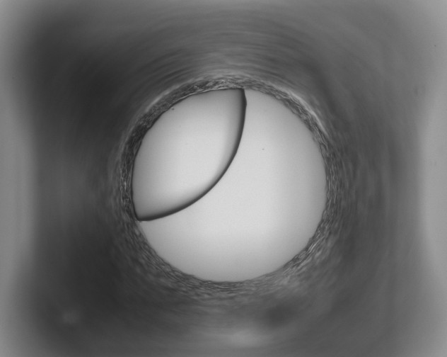 X0000102270871200807250856