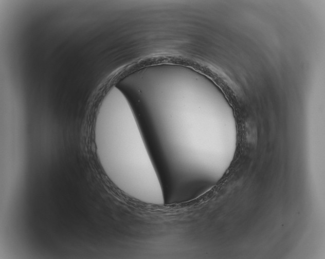 X0000102270872200807250856