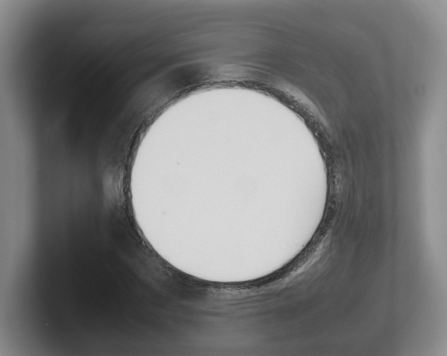 X0000102270873200807250856