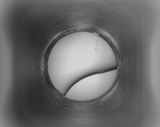 X0000102270875200807250856