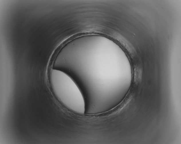 X0000102270876200807250856