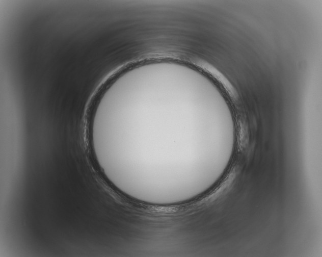 X0000102270878200807250855