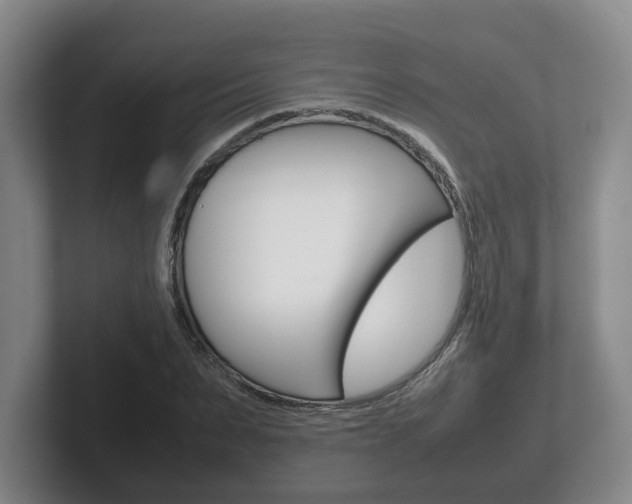 X0000102270879200807250855