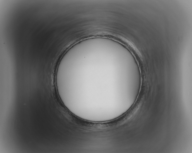 X0000102270881200807250855