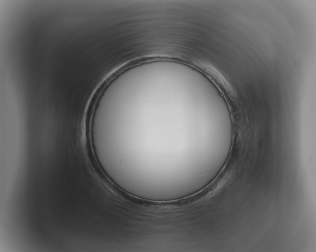 X0000102270884200807250855