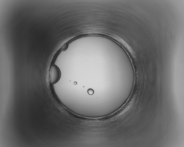X0000102270885200807250855