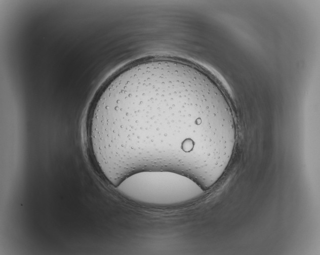 X0000102270887200807250855