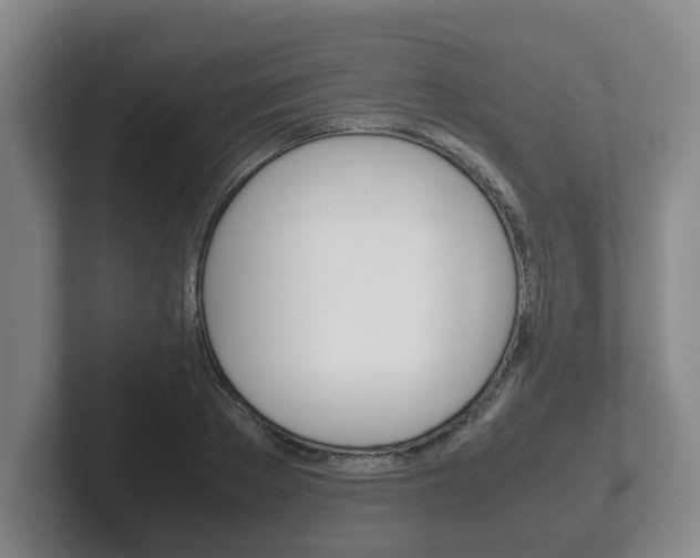 X0000102270889200807250855