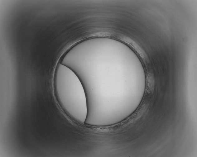 X0000102270890200807250855