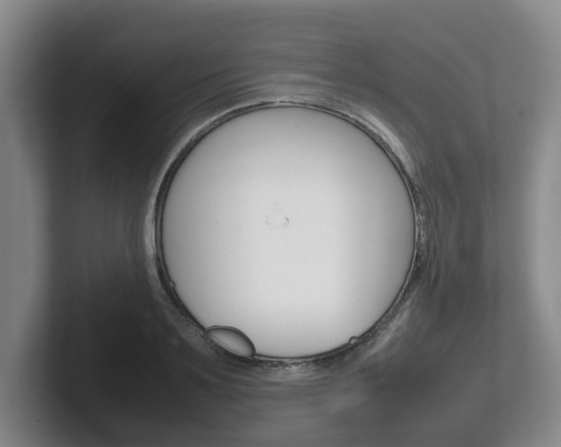 X0000102270891200807250855