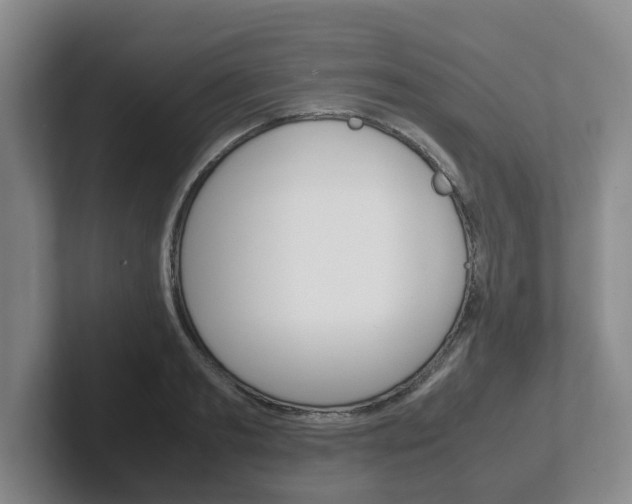 X0000102270893200807250855