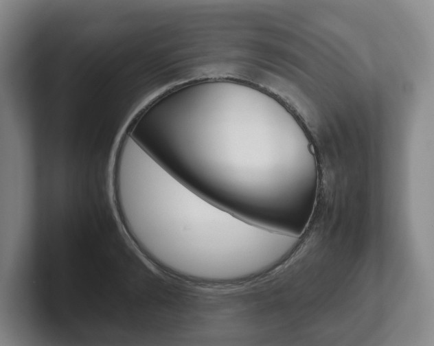 X0000102270894200807250855