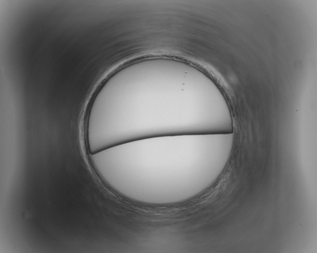 X0000102270895200807250855
