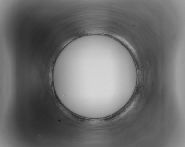 X0000102270897200807250855
