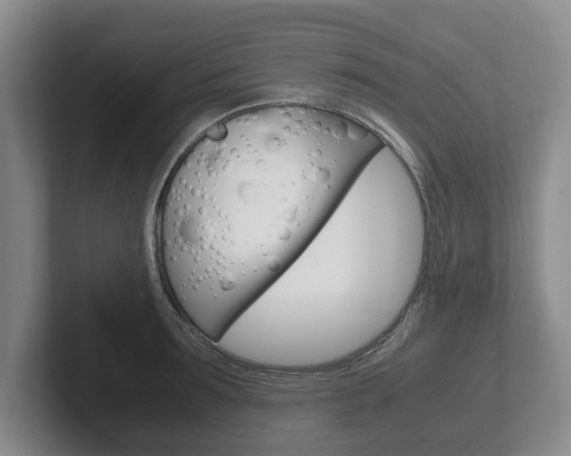 X0000102270899200807250855
