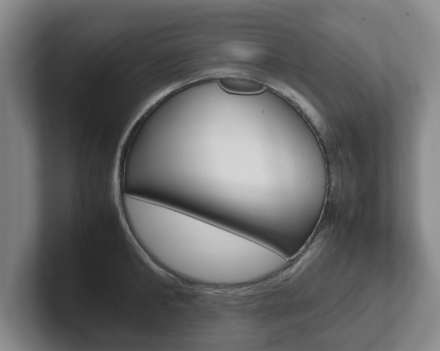 X0000102270902200807250855