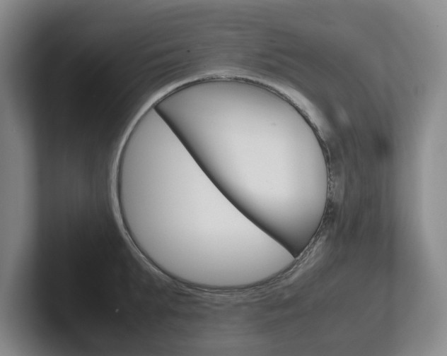 X0000102270903200807250855