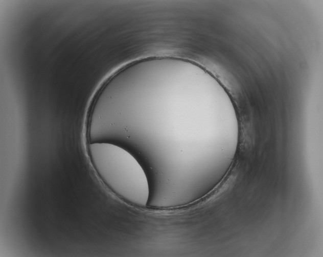 X0000102270904200807250855