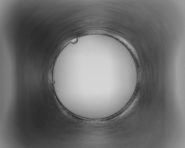 X0000102270905200807250855