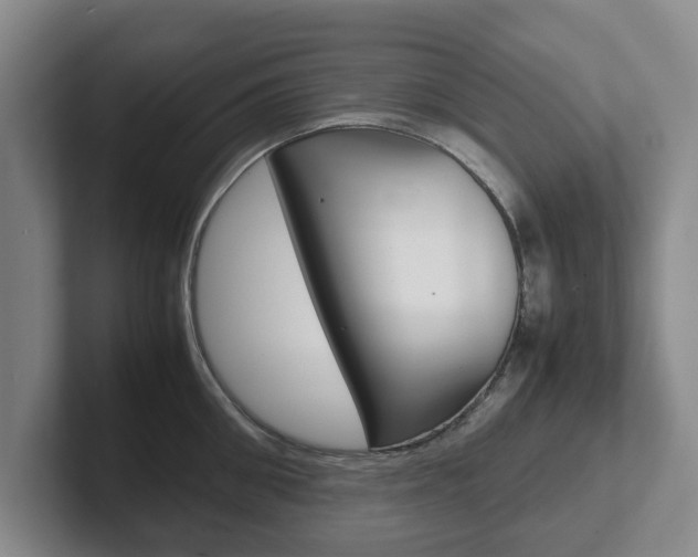 X0000102270906200807250855