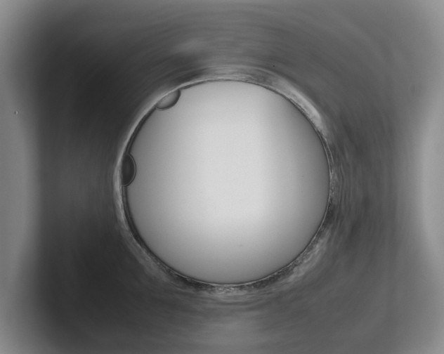 X0000102270907200807250855