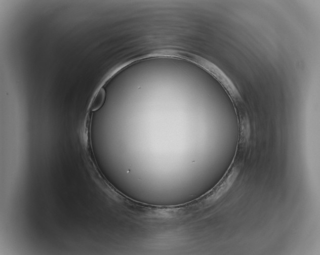 X0000102270908200807250855