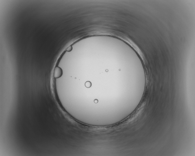 X0000102270909200807250855