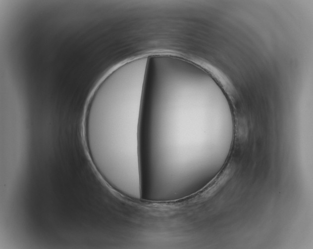 X0000102270910200807250855