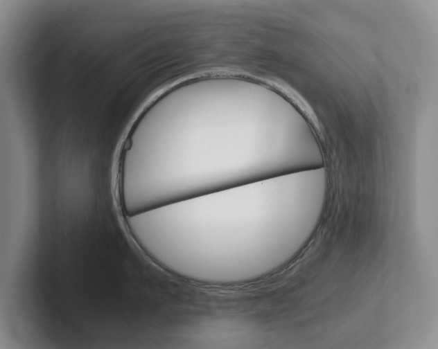X0000102270911200807250855