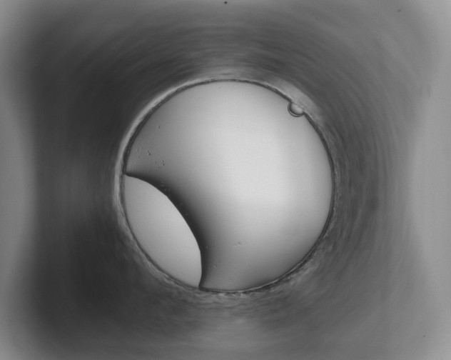 X0000102270912200807250855
