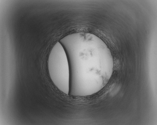 X0000102270913200807250854
