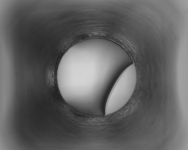 X0000102270915200807250854