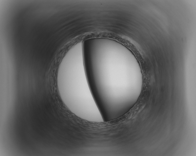 X0000102270919200807250855