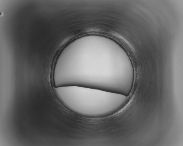 X0000102270921200807250855
