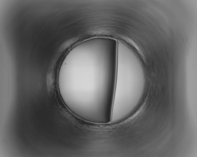 X0000102270922200807250855