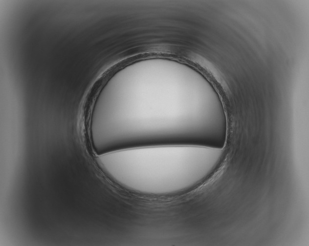 X0000102270923200807250855