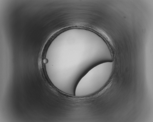X0000102270924200807250855