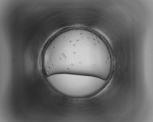 X0000102270925200807250855