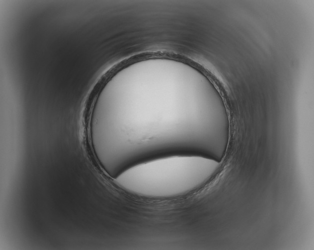 X0000102270927200807250855