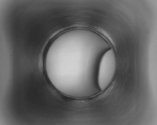 X0000102270931200807250855