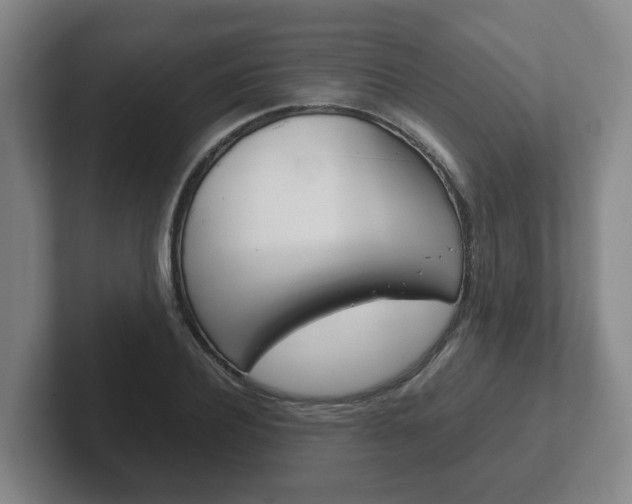 X0000102270932200807250855