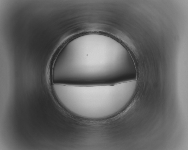 X0000102270934200807250855