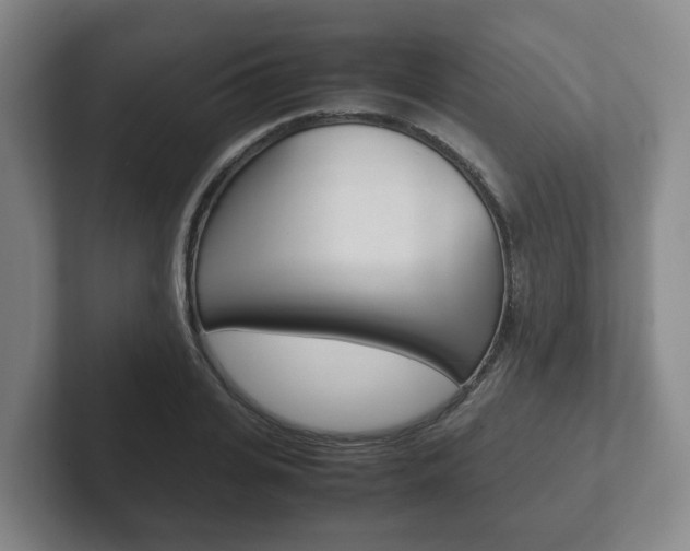 X0000102270935200807250855